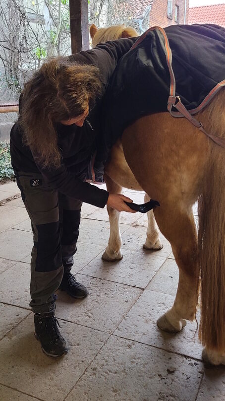 Sanfte Schallwellenbehandlung mit dem Novafon zur Unterstützung der Rückenmuskulatur.